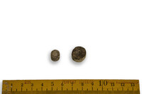 F 00116
<br/>
<br/>
<em></em>